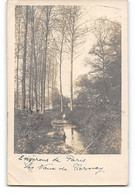 CPA 78 Carte Photo Vaux De Cernay Carte Photo Un Ru - Vaux De Cernay