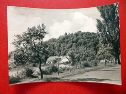 Burg Gleichen - Gaststätte Freudenthal - Echt Foto - DDR 1962 - Thüringen - Arnstadt