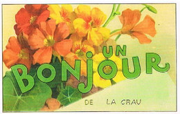 83 UN BONJOUR  DE  LA CRAU     CPM  TBE  VR970 - La Crau