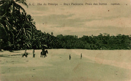 SÃO TOMÉ E PRINCIPE - Ilha Do Principe - Roça Paciencia - Praia Dos Burros - Sao Tome Et Principe