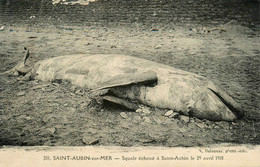 St Aubin Sur Mer * Squale échoué Le 29 Avril 1918 * Chasse - Saint Aubin