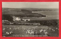 SCOTLAND CAITHNESS   A GLIMPSE OF THE RUGGED CAITHNESS COAST NEAR DUNBEATH   RP    1958 - Caithness