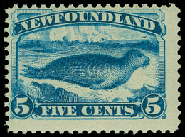 ** Canada / Newfoundland - Lot No.336 - 1865-1902
