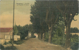 CPA FRANCE 84 "Monteux, Avenue Et Chapelle Notre Dame" - Monteux