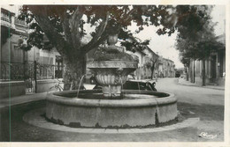 CPSM FRANCE 84 " Chateauneuf Du Pape, La Fontaine Rue Commandant Lemaître" - Chateauneuf Du Pape