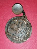 1956  CONGRESSO Bologna  VI CONGRESSO NAZIONALE DI DI MEDICINA SOCIALE MEDAGLIA MEDAL M - Professionals/Firms