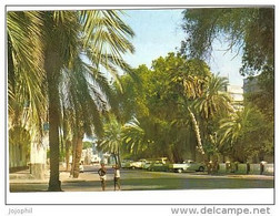 Djibouti - Avenue De L'administrateur Bernard - Djibouti