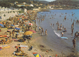Delcampe - 83,VAR,LE PRADET - Le Pradet