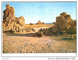 Territoires  Français Des Afars Et Des Issas -  Lac Abbe - Djibouti - Djibouti