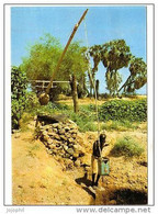 Djibouti - Système D'irrigation - Djibouti