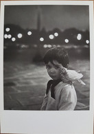 Robert Doisneau.l'enfant Et La Colombe 1958.carte éditée En 1984 - Doisneau