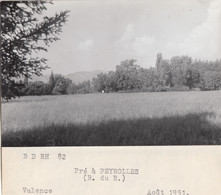 Peyrolles 13 - Pré à Peyrolles - Photographie - Août 1951 - Peyrolles