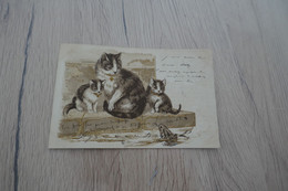 CPA Chat Cat Humanisés  1903 - Gatti