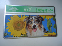 UNITED KINGDOM  USED  CARDS  DOG DOGS - Chiens