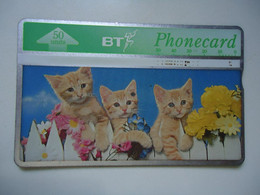 UNITED KINGDOM  USED  CARDS   CAT  CATS - Rabbits