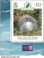 2021 - ISLE OF MAN - EUROPA CEPT - FAUNA NAZIONALE IN VIA DI ESTINZIONE / ENDANGERED NATIONAL WILDLIFE. MNH - 2021