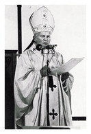 Thème Papes - Carte Postale - TB - Popes