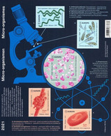 Micro-organismen 2021 - Ongebruikt