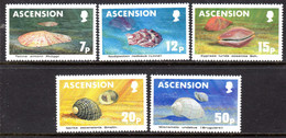 ASCENSION - 1983 SEA SHELLS SET (5V) FINE MNH ** SG 349-353 - Ascension