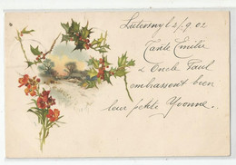 Suisse So Soleure Cachet Luterswil 1902 Paysage Fleur De Gui  Illustré Pour Genève - Soleure