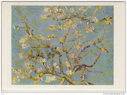 Art - VINCENT Van GOGH, Peinture, Painting - Blühende Mandelbaumäste (peinture, Saint-Rémy 1890) - Van Gogh, Vincent