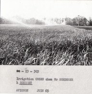 Rousset 13 - Irrigation Orge Exploitation M. Roederer - Photographie 1965 - Rousset