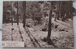 MONT DE L'ENCLUS  KLUISBERG DANS LES BOIS IN DE BOSSCHEN - Kluisbergen