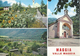 Maggia - 3 Bilder            Ca. 1970 - Maggia