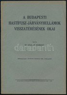 Dr. Sághy Ferenc: A Budapesti Hastífusz-járványhullámok Visszatérésének Okai. Különlenyomat A Városi Szemle XXI. évfolya - Unclassified