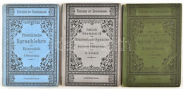 Vegyes Német Nyelvű Könyvtétel, 3 Db. J. Rosenberg: Phönikische Sprachlehre Und Epigraphik. Wien Und Leipzing,1905, A. H - Unclassified