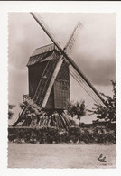 Gaillemarde  ( La Hulpe  / Ter Hulpe ):  Le Vieux Moulin à Vent , / Oude Windmolen +/- 1968 - La Hulpe