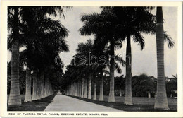 ** T1/T2 Miami, FL, Row Of Florida Royal Palms, Deering Estate - Unclassified