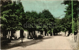 * T2 Rosenburg, Rosenburg-Mold; Street View With Shop. Rudolf Brandstetter Kaufmann - Non Classificati