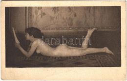 ** T2/T3 Erotic Nude Lady. Phot. Schiebert (EK) - Ohne Zuordnung