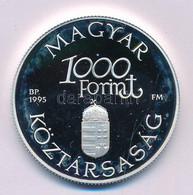 1995. 1000Ft Ag "Régi Dunai Hajók III - Hableány" Kapszulában T:PP Fo. Adamo EM139 - Unclassified