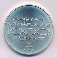 1995. 1000Ft Ag "Nyári Olimpia-Atlanta - Vívás" Kapszulában T:BU  Adamo EM143 - Unclassified