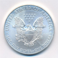 Amerikai Egyesült Államok 2009. 1$ Ag "Ezüst Sas" T:1  USA 2009. 1 Dollar Ag "Silver Eagle" C:UNC - Ohne Zuordnung