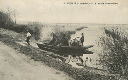 CPA FRANCE 44 "Bouaye, Le Lac De Grand Lieu" - Bouaye