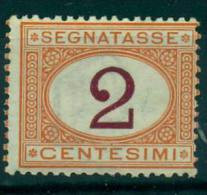 REGNO 1870-1874 SEGNATASSE  CIFRA 2 C. OCRA E CARMINIO MNH** - Autres & Non Classés