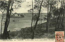 Carhaix * Les Bois De Sapins Et Vue Sur La Rade De Morlaix * L'ile Louet - Carantec