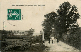 Carantec * Le Chemin Creux Du Fransic * Route - Carantec