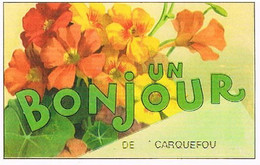 44  UN BONJOUR  DE  CARQUEFOU   CPM  TBE  VR1002 - Carquefou