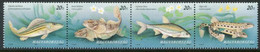 HUNGARY 1997 Fish  MNH / **.  Michel 4457-60 - Unused Stamps