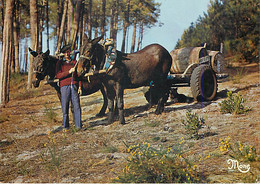 AU PAYS LANDAIS - Attelage De Mules - Attelages