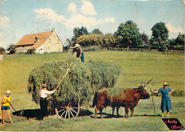 LE TEMPS DES FOINS - CI 190 - Wagengespanne