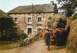 TRAVAUX DE LA CAMPAGNE - Rentrée Des Foins Avec L'attelage De Boeufs - Spannen