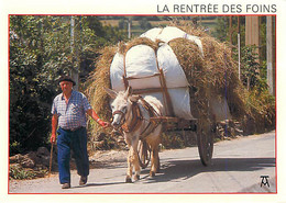 COLLECTION ARTPYR - LES PYRENEES - La Rentrée Des Foins - B 139 - Attelages