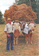 ATTELAGE - APRES LA BATTERE - Transport De La Paille - René Dessis - NERBIS  (bourse 2006 Saint Paul Des Dax) - Wagengespanne