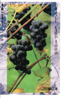 Vin Wine Raisin  Fruit  Carte Card Karte (D 614) - Alimentation