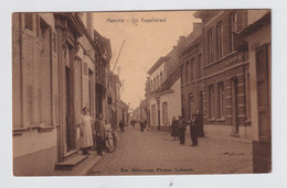 HAMME  DE KAPELSTRAAT - Hamme